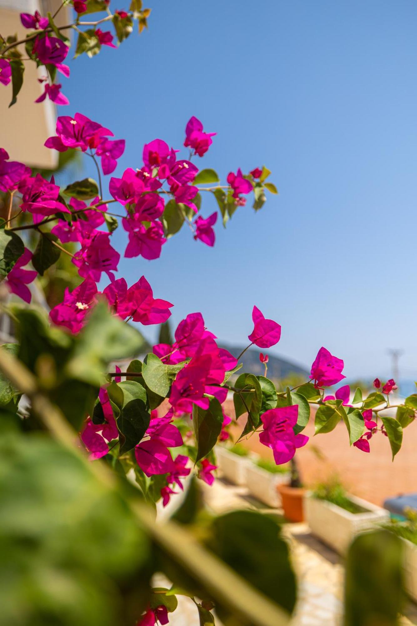 Royal Blue Hotel Dhermi Luaran gambar